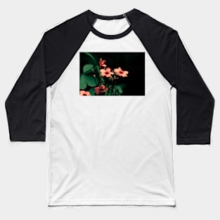 Clovers, night shot of Clover blossoming flowers Baseball T-Shirt